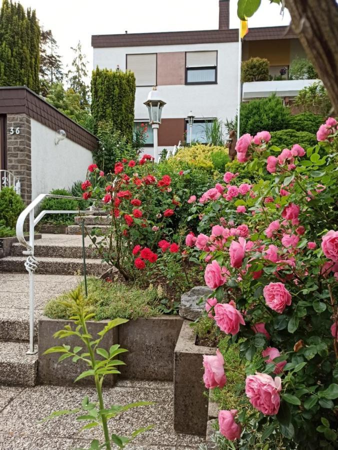 Apartments Gala, Ruhige Lage, Stadtnah Bad Kissingen Eksteriør bilde